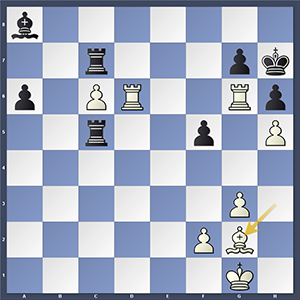 Mamedyarov vs Tomashevsky, final position.